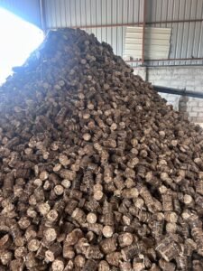 Premium Biomass Briquettes manufacturer, exporter and supplier from India by Flouers Agri Pvt Ltd offering eco-friendly biofuel solutions