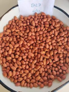 Premium Groundnut (Peanuts) exporter and supplier from India by Flouers Agri Pvt Ltd offering export-quality peanuts