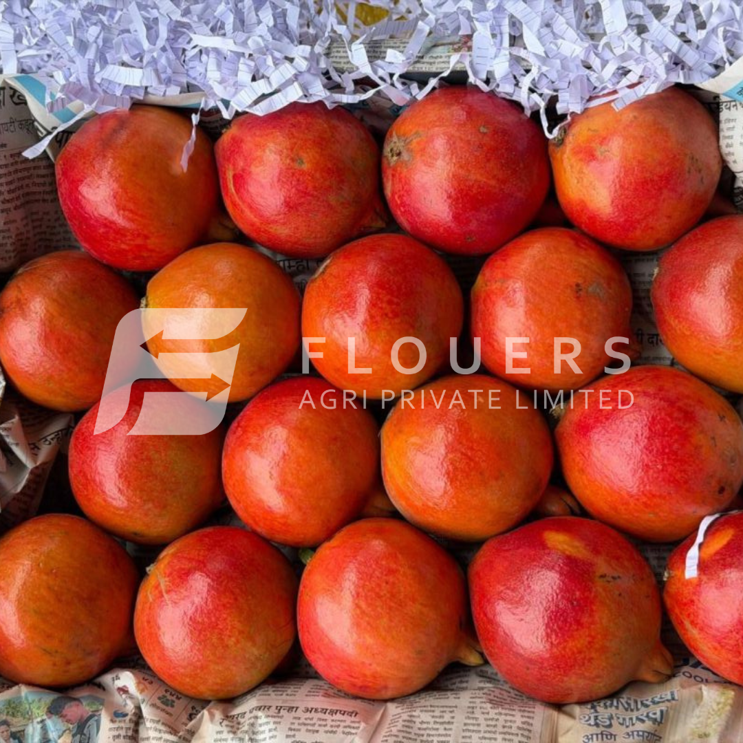 Fresh Pomegranate Exporter from India — Flouers Agri Pvt. Ltd.