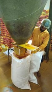 Premium Turmeric Powder exporter and supplier from India by Flouers Agri Pvt Ltd offering export-quality turmeric powder
