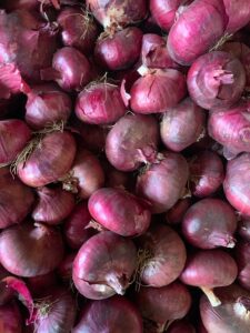 Fresh Red Onion exporter supplier from India premium export quality onions by Flouers Agri Pvt Ltd