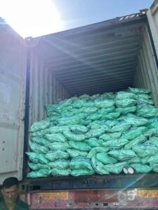 Premium Semi Husk Coconut exporter and supplier from India by Flouers Agri Pvt Ltd offering export-quality coconuts