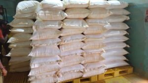 Premium Turmeric Powder exporter and supplier from India by Flouers Agri Pvt Ltd offering export-quality turmeric powder