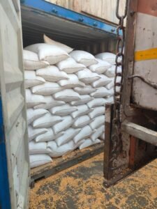 Premium Yellow Maize exporter and supplier from India by Flouers Agri Pvt Ltd offering export-quality yellow corn