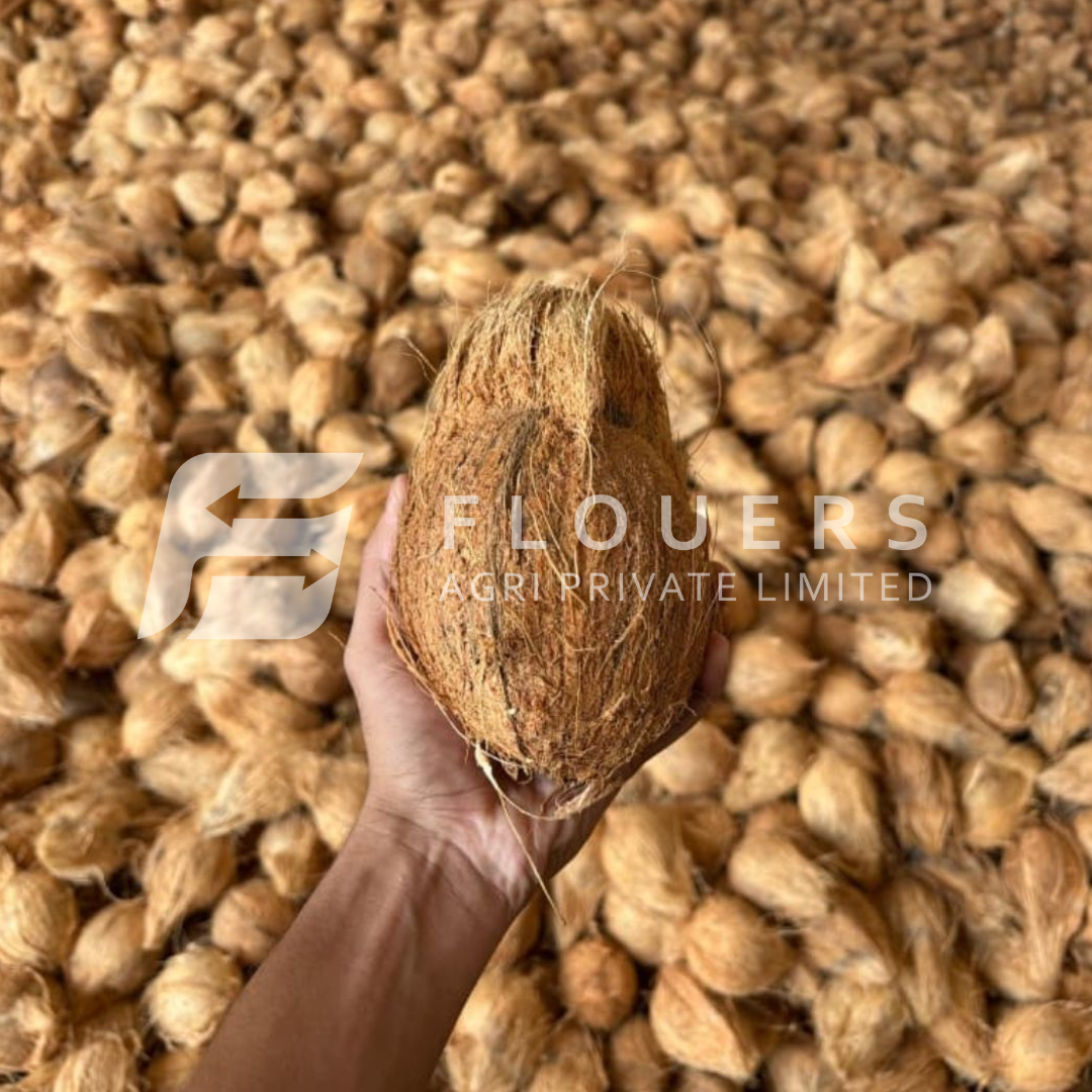 Semi Husk Coconut