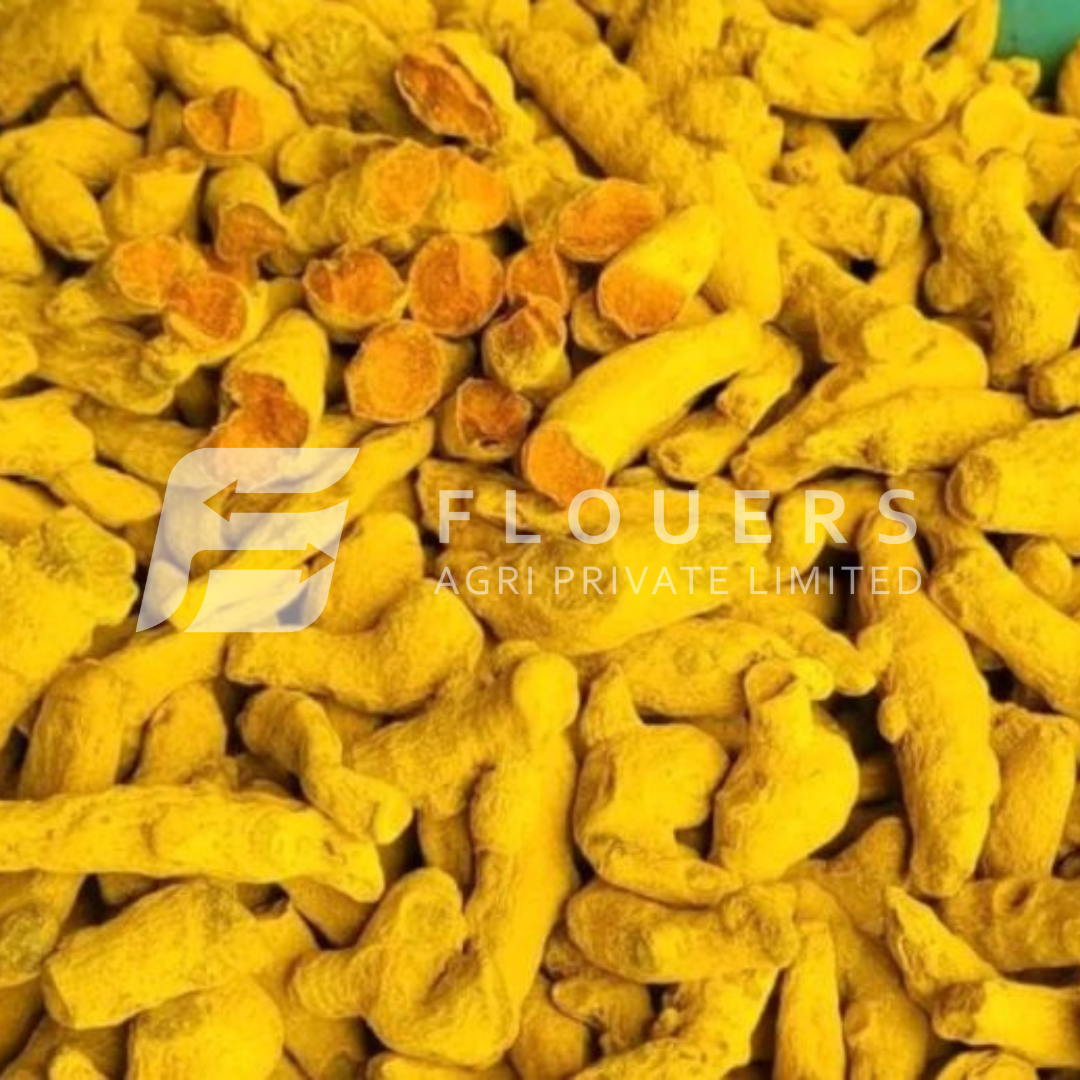 Turmeric Finger