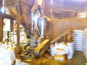 Premium Turmeric Powder exporter and supplier from India by Flouers Agri Pvt Ltd offering export-quality turmeric powder