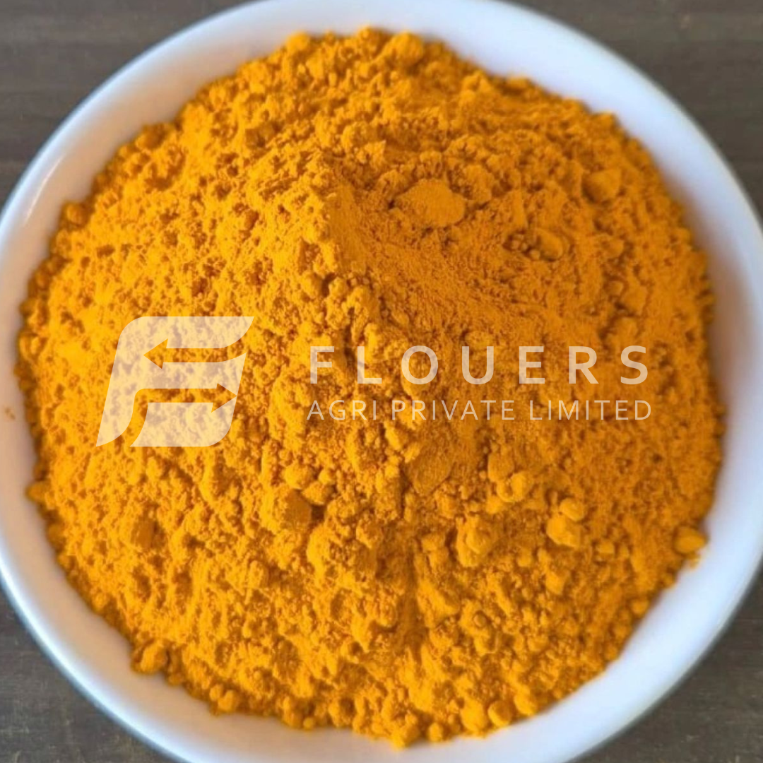 Turmeric Powder Exporter from India — Flouers Agri Pvt. Ltd.