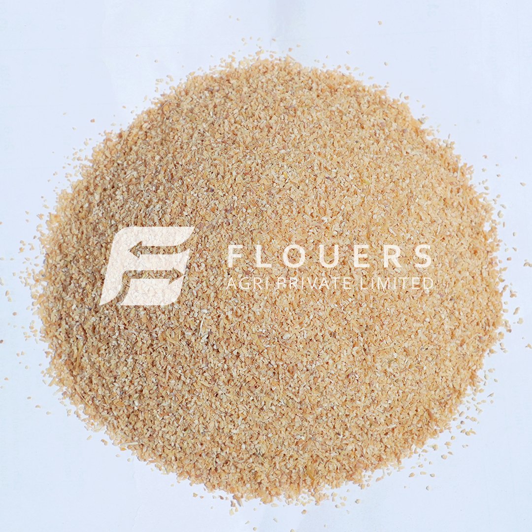 Dehydrated Garlic Granules Exporter from India — Flouers Agri Pvt. Ltd.