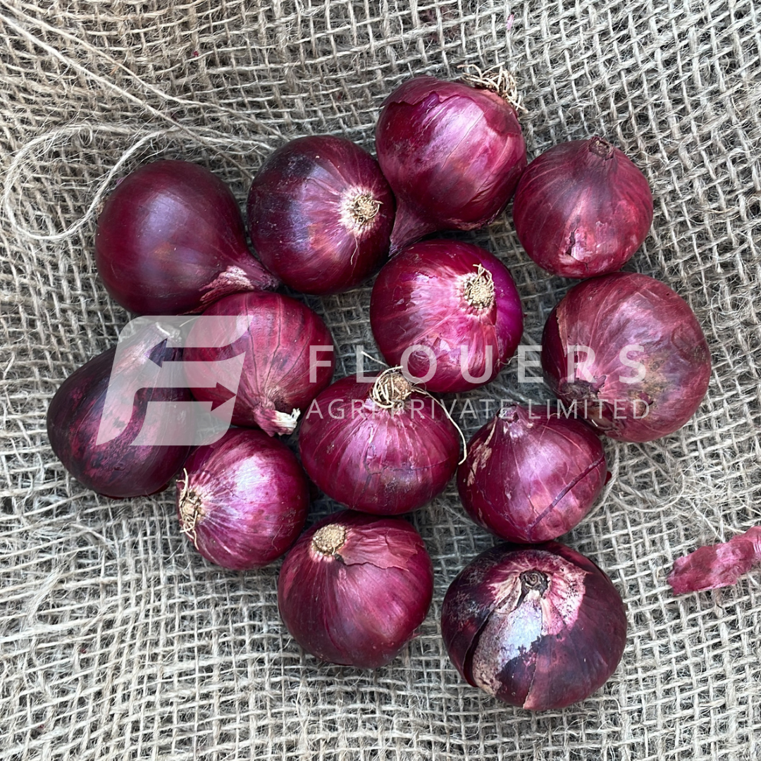 Fresh Red Onion