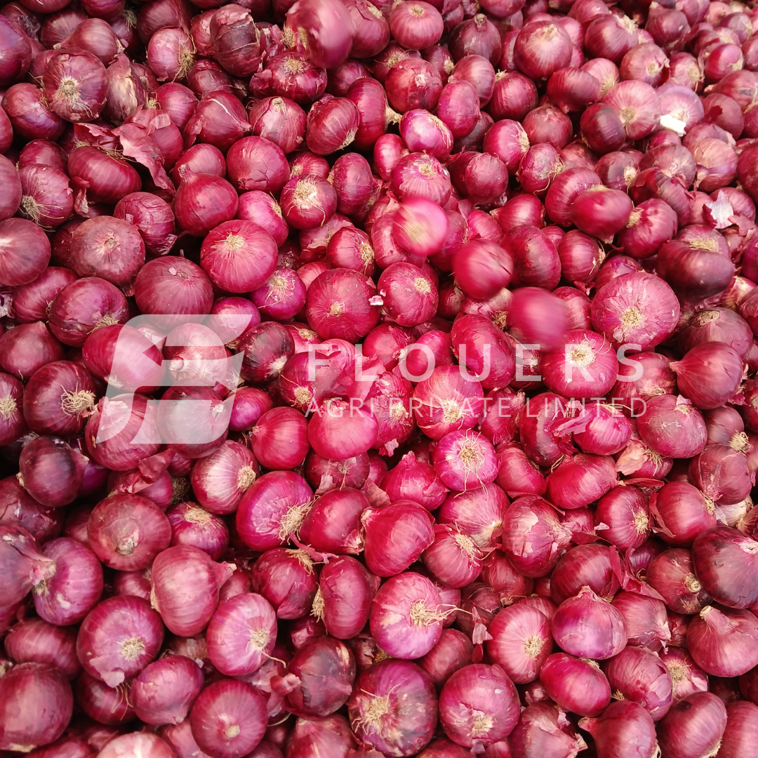 Premium Fresh Red Onion Exporter from India — Flouers Agri Pvt. Ltd.