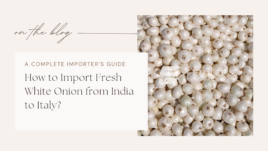 How to Import Fresh White Onion from India to Italy