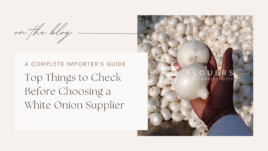 Top Things to Check Before Choosing a White Onion Supplier