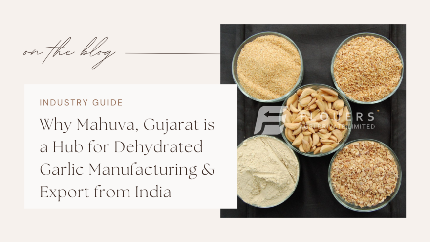 Why Mahuva, Gujarat is a Hub for Dehydrated Garlic Manufacturing & Export from India